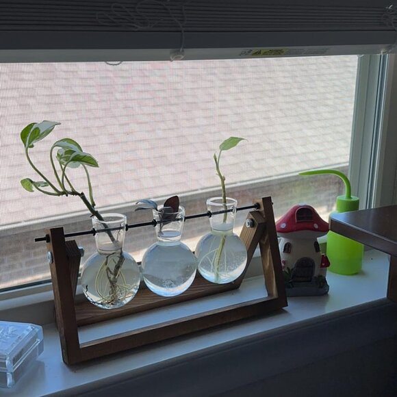 Plant Vase 3 Bulb with Wooden Stand Home Garden Office Decoration Decor - Picture 4 of 12